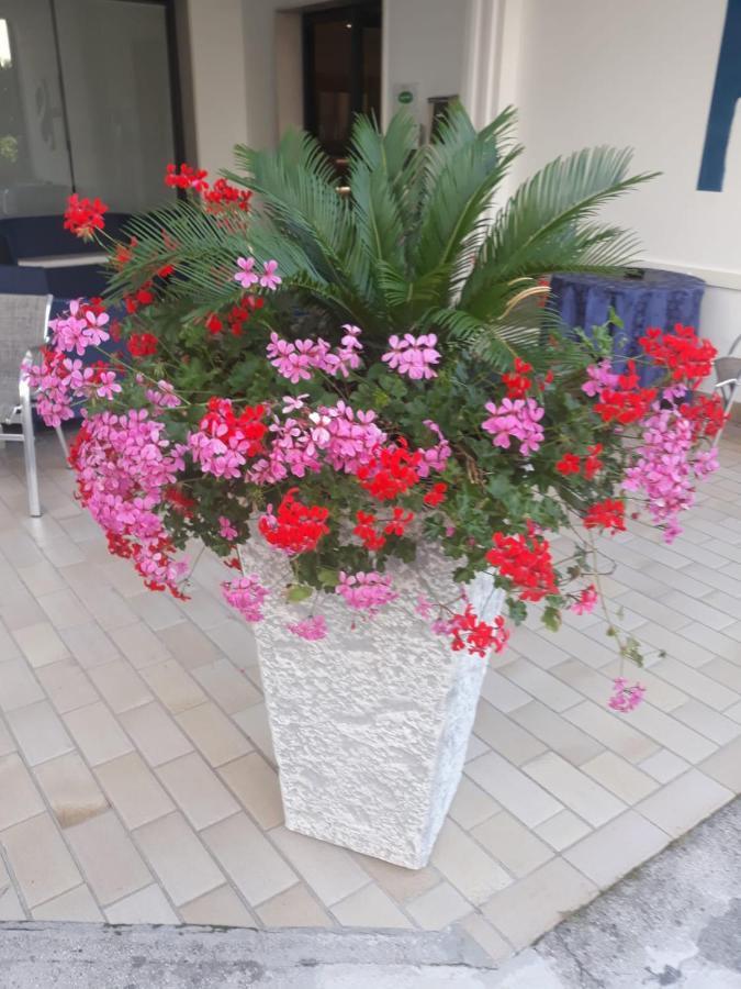 Hotel Serenella Lido di Jesolo Exterior foto